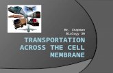 Mr. Chapman Biology 30. 2 Main Types of Transport  There are 2 main types of transport when it comes to molecules moving across the cell membrane.