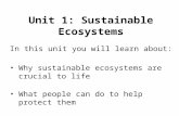 Unit 1: Sustainable Ecosystems In this unit you will learn about: Why sustainable ecosystems are crucial to life What people can do to help protect them.