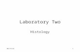 12/17/20151 Laboratory Two Histology. 12/17/20152 Histology Study of structure and function of tissues – Groups of cells that are structurally and functionally.