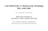 Lab Methods in Molecular Biology Bio 446-546 FALL 2015 M/F 13.00-15.50 Molecular biology of parasites, snails, plants and fungi You, Adema, Natvig, Hutchinson.