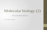 Molecular biology (2) (Foundation Block) Dr. Sumbul Fatma.