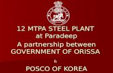 12 MTPA STEEL PLANT at Paradeep A partnership between GOVERNMENT OF ORISSA & POSCO OF KOREA.