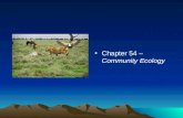 Chapter 54 – Community Ecology WHAT IS A COMMUNITY??? –A community is a group of populations of various species living close enough for potential interaction.