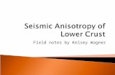 Field notes by Kelsey Wagner. Seismic Anisotropy of the mid to lower crust is very difficult to measure in field by seismologists. Using a scanning electron.