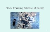 1 Rock Forming Silicate Minerals. 2 Importance of the Silicates Abundance –~25% of all known minerals –Make up ~90% of earth’s crust –Composed of dominant.