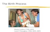 The Birth Process Mamie Guidera, CNM, MSN Carol O’Donoghue, CNM, MSN, MPH.