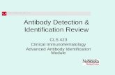 Antibody Detection & Identification Review CLS 423 Clinical Immunohematology Advanced Antibody Identification Module.
