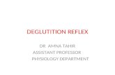 DEGLUTITION REFLEX DR AMNA TAHIR ASSISTANT PROFESSOR PHYSIOLOGY DEPARTMENT.