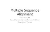 Multiple Sequence Alignment Scott Walmsley, PhD Research Instructor, Department Pharmaceutical Sciences Skaggs School of Pharmacy.
