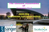 The Genome Assemblies of Tasmanian Devil Zemin Ning The Wellcome Trust Sanger Institute.