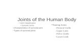 Joints of the Human Body Joint Classification Synovial Joints –Characteristics of synovial joint –Types of synovial joints Naming Joints: –Pectoral Girdle.