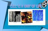 PRESENTED BY: PN. SHAMSIDAR BT. RAMLI INTRODUCTION ANIMAL CELLS PLANT CELLS MICROSCOPE QUESTIONS INTRODUCTION What is cell? 1. Cell is the basic unit.