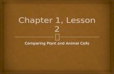 Comparing Plant and Animal Cells.   After this lesson, you should be able to:  Identify ways that plant and animal cells are alike and different.