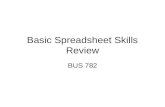 Basic Spreadsheet Skills Review BUS 782. Expression.