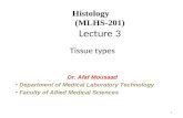 1 Histology (MLHS-201) Lecture 3 Tissue types Dr. Afaf Mousaad Department of Medical Laboratory Technology Faculty of Allied Medical Sciences.