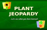 PLANT JEOPARDY Let ’ s see what you have learned!.