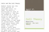 Cell Theory Objectives Explain the Cell Theory. December 17, 2015 1 Cells and the Cell Theory Robert Hooke was the first person to describe cells. In 1665,