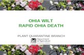 PLANT QUARANTINE BRANCH OHIA WILT RAPID OHIA DEATH.