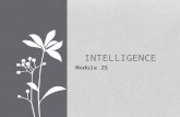 Module 25 INTELLIGENCE. In your journals… In your opinion, does your overall "intelligence" or motivation play a bigger role in your academic success.