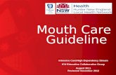 Mouth Care Guideline Intensive Care/High Dependency Stream ICU Education Collaborative Group August 2011 Reviewed November 2012.