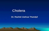 Cholera Dr. Rachel Joshua Thundyil. Agent Gram Negative Bacilli Vibrio Cholerae Curved, Actively Motile, Flagellated.
