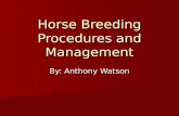 Horse Breeding Procedures and Management By: Anthony Watson.