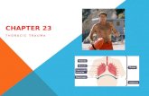 CHAPTER 23 THORACIC TRAUMA. OBJECTIVES 23.1 List the major anatomical structures of the thoracic cavity. 23.2 Describe the basic physiology of thoracic.