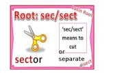 Or separate. 1. Bisect (v) – to cut into two pieces.