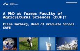 AARHUS UNIVERSITET A PhD at former Faculty of Agricultural Sciences (DJF)? Elise Norberg, Head of Graduate School SAFE.
