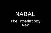NABAL The Predatory Way. Isa 32, 1 Sam 25 (Nabal), 2 Sam 13 (Amnon) “NABAL” comes from a word which means “to wither” Unbelievably corrupt, low, vile,