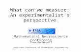 What can we measure: An experimentalist’s perspective Mathematical Neuroscience conference Theoden Netoff Assistant Professor of Biomedical Engineering.
