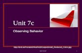 Unit 7 CA 517 1 Unit 7c Observing Behavior 20CarpetSmall_Reduced_Color.jpg.