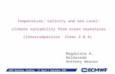 Slide 1 GSOP Workshop, Reading, 31 Agust-1 September 2006 Temperature, Salinity and Sea Level: climate variability from ocean reanalyses (Intercomparison.