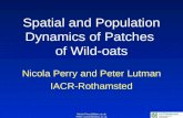 Nicola.Perry@bbsrc.ac.uk Peter.Lutman@bbsrc.ac.uk Spatial and Population Dynamics of Patches of Wild-oats Nicola Perry and Peter Lutman IACR-Rothamsted.