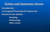 Introduction Conceptual/Theoretical Framework Practice/Case studies Retailing Retailing Wholesaling Wholesaling Office sector Office sector Tertiary and.