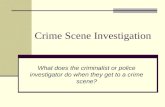 Crime Scene Investigation What does the criminalist or police investigator do when they get to a crime scene?