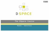 Module - Identifiers The DSpace Course. Module Overview  By the end of this module you will:  Understand what persistent identifiers are, how they work.