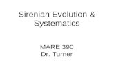 Sirenian Evolution & Systematics MARE 390 Dr. Turner.
