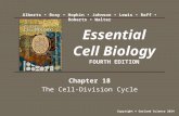 Chapter 18 The Cell-Division Cycle Essential Cell Biology FOURTH EDITION Copyright © Garland Science 2014 Alberts Bray Hopkin Johnson Lewis Raff Roberts.
