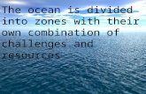 The ocean is divided into zones with their own combination of challenges and resources.