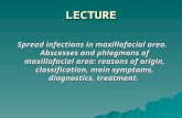 LECTURE Spread infections in maxillofacial area. Abscesses and phlegmons of maxillofacial area: reasons of origin, classification, main symptoms, diagnostics,