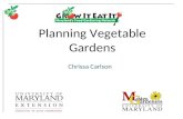 Planning Vegetable Gardens Chrissa Carlson. College of Agriculture and Natural Resources.