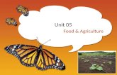 Unit 05 Food & Agriculture. Chapter 11 Producing Enough Food for the World.