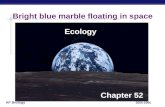 AP Biology 2005-2006 Bright blue marble floating in space Ecology Chapter 52.