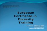 European Certificate in Diversity Training Grundtvig Mobility Programme Mobilităţi de formare continuă .