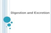 Digestion and Excretion. The Need for Digestion Digestion: the process of breaking down food particles into molecules small enough to be absorbed by cells.