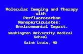 Molecular Imaging and Therapy with Perfluorocarbon Nanoparticulates: Environmental Impact. Washington University Medical School Saint Louis, MO.