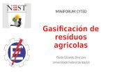 Gasificación de resíduos agricolas Electo Eduardo Silva Lora Universidade Federal de Itajubá MINIFORUM CYTED.
