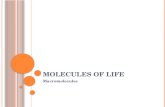 M OLECULES OF L IFE Macromolecules. What is a molecule?molecule Two or more atoms covalently bonded together. Examples: H2O, CO2, CH4 What is a macromolecule?