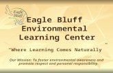 Eagle Bluff Environmental Learning Center “Where Learning Comes Naturally” Our Mission: To foster environmental awareness and promote respect and personal.